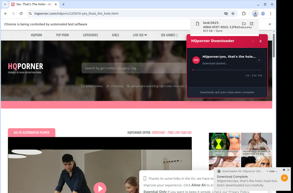 Hqporner Video Downloader browser extension screenshot 2