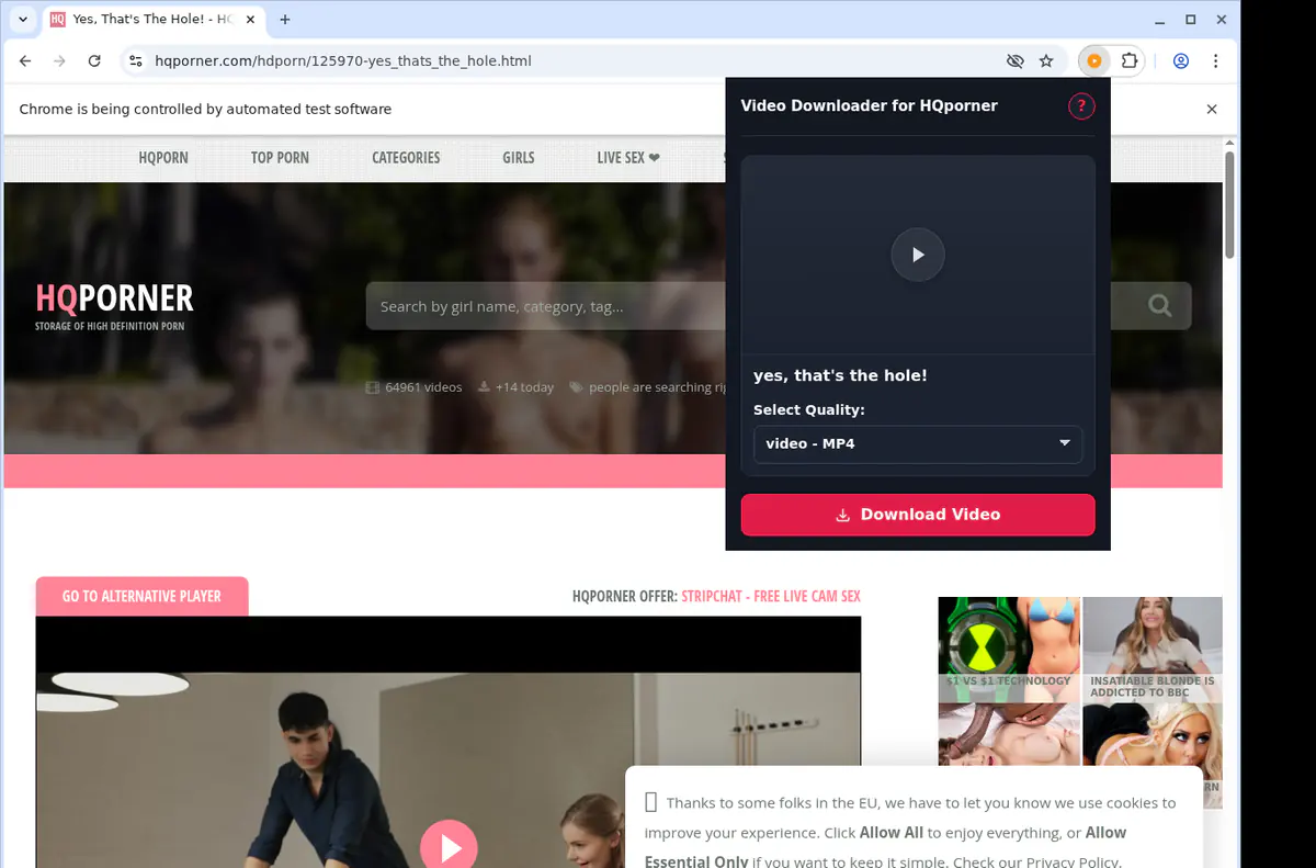 Hqporner Video Downloader browser extension screenshot 3
